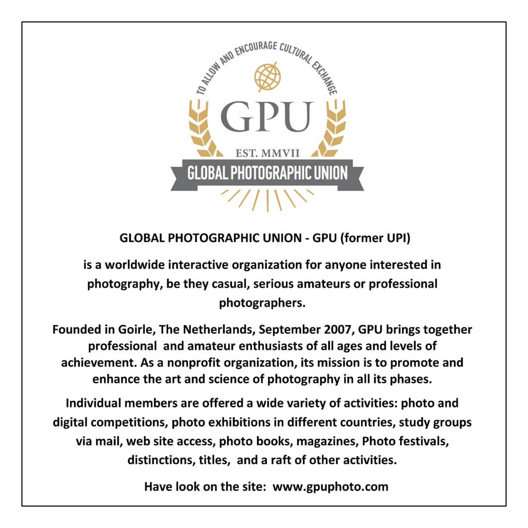 KNOWLEDGE BOWL PHOTO CIRCUIT